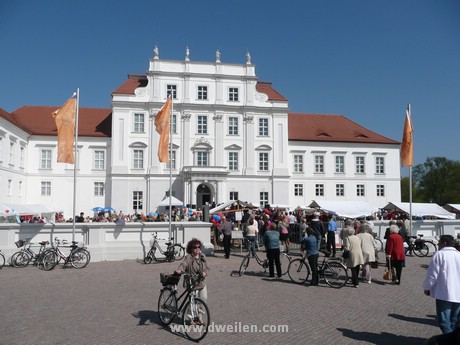 P1010528.JPG